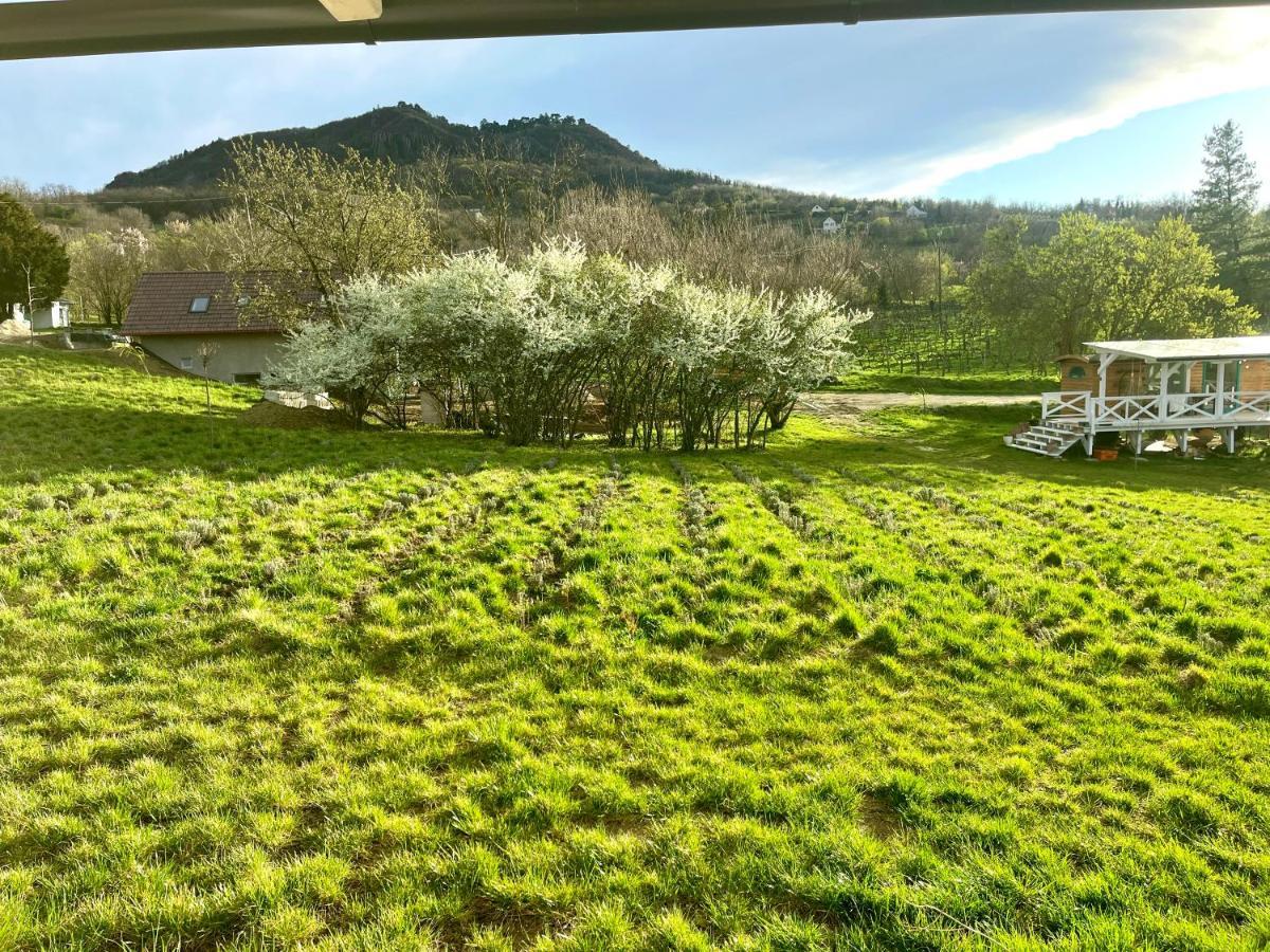 Bohemian Eco Lodge Kisapati Eksteriør bilde
